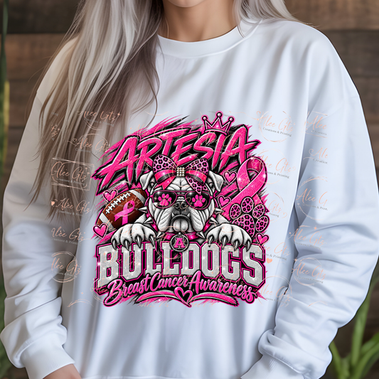 Artesia shirt/sweater