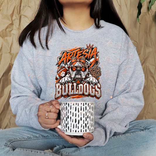 Artesia shirt/sweater