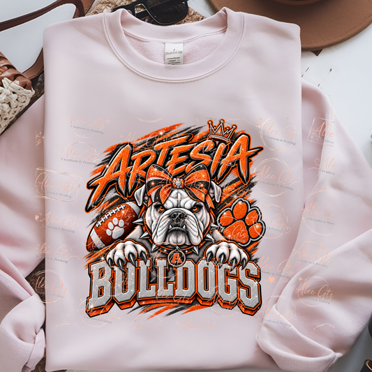 Artesia shirt/sweater
