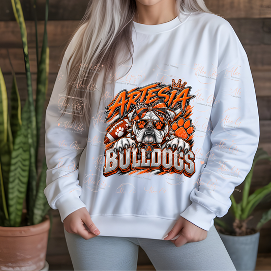 Artesia shirt/sweater