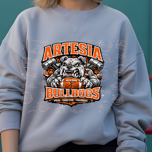 Artesia shirt/sweater
