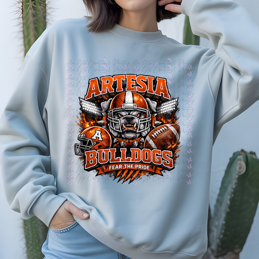 Artesia shirt/sweater