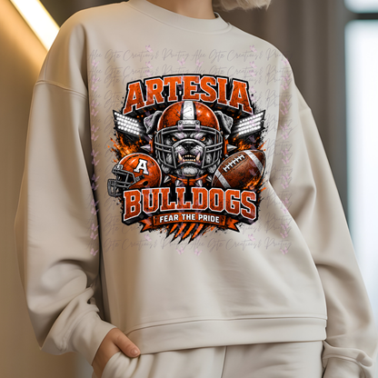 Artesia shirt/sweater