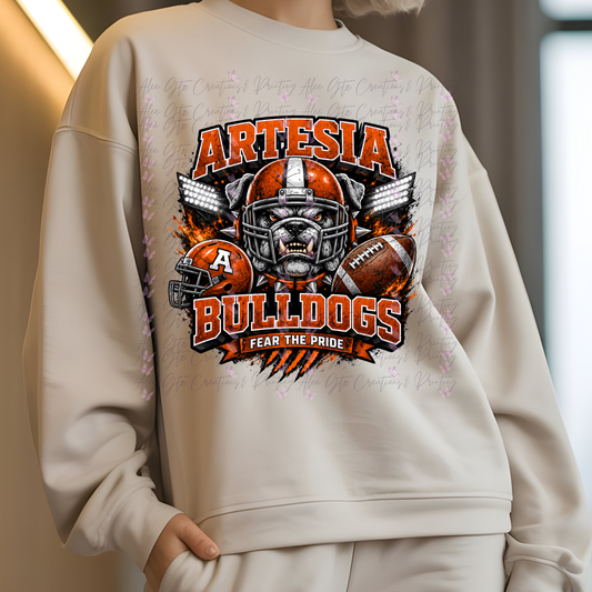 Artesia shirt/sweater