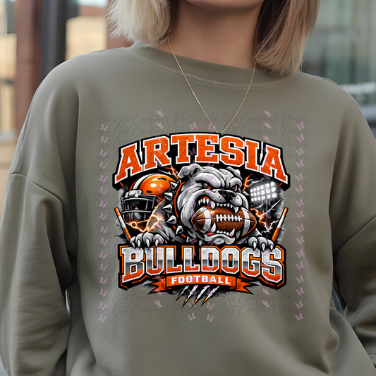Artesia shirt/sweater