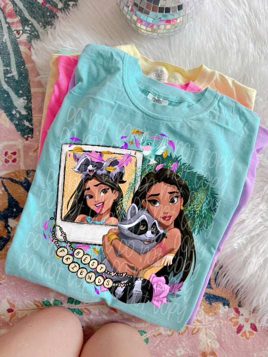 Pocahontas Shirt/sweater