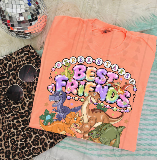 Small foot Dino Friends Shirt/sweater